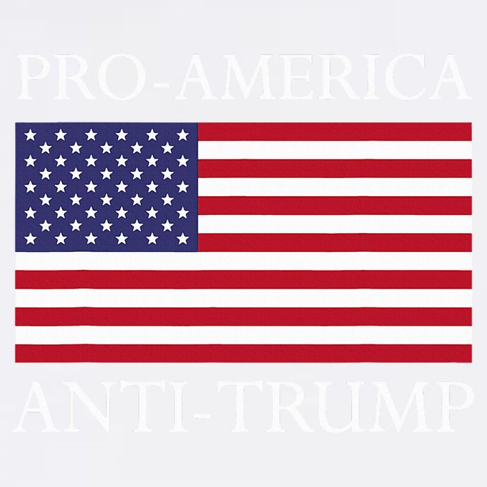 Pro America Anti Trump American Usa Flag Resist Button