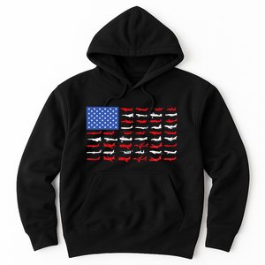 Pilot Airplane American Flag Plane Aviation Hoodie