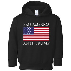 Proamerica Antitrump American Usa Flag Resist Toddler Hoodie