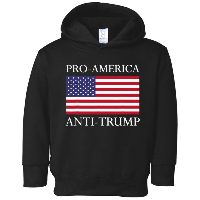 Proamerica Antitrump American Usa Flag Resist Toddler Hoodie