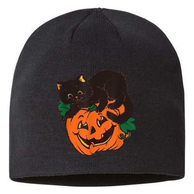 Pumpkin And Black Cat Halloween Vintage Costume Sustainable Beanie