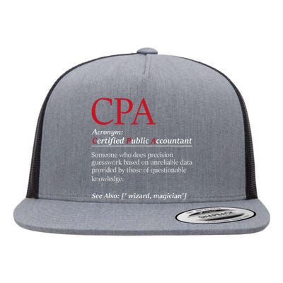 Public Accountant Bookkeeper Tax Auditor Financial Analyst Flat Bill Trucker Hat