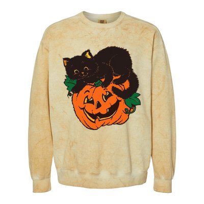 Pumpkin and Black Cat Halloween Vintage Costume Colorblast Crewneck Sweatshirt