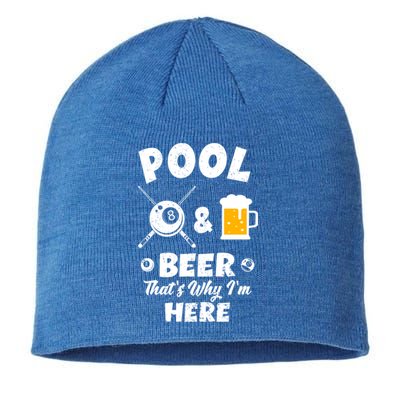 Pool And Beer ThatS Why IM Here Pool Billiard Gift Sustainable Beanie