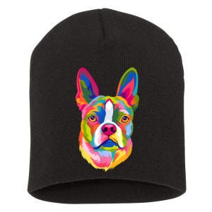 Pop Art Boston Terrier Lover Gift Men Women Dog Terriers Short Acrylic Beanie