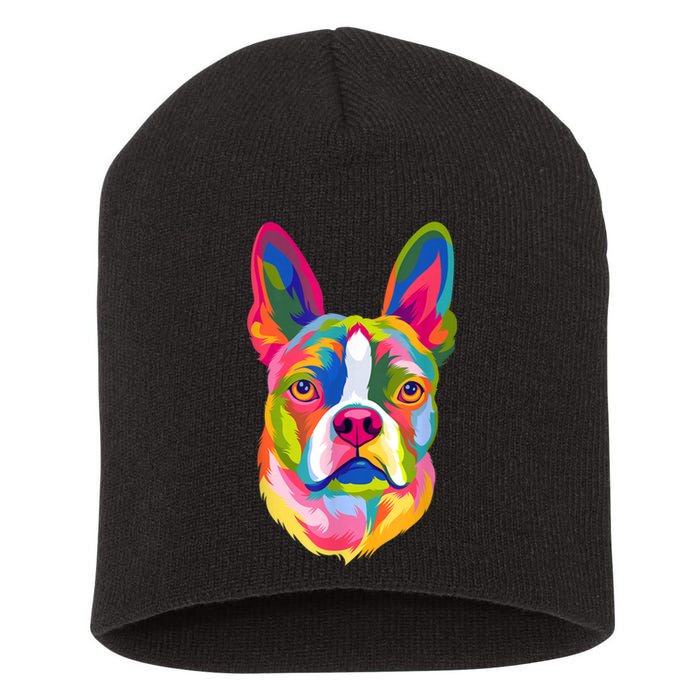 Pop Art Boston Terrier Lover Gift Men Women Dog Terriers Short Acrylic Beanie