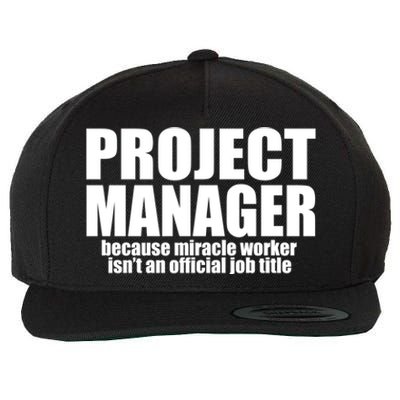 Project Ager Because Miracle Worker Isn't A Job Title Funny Gift Wool Snapback Cap