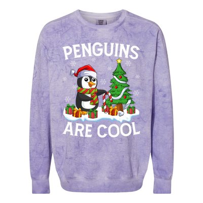 Penguins Are Cool Xmas Tree Lights Santa Penguin Christmas Gift Colorblast Crewneck Sweatshirt