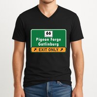 Pizza And Ducks Or Duck V-Neck T-Shirt
