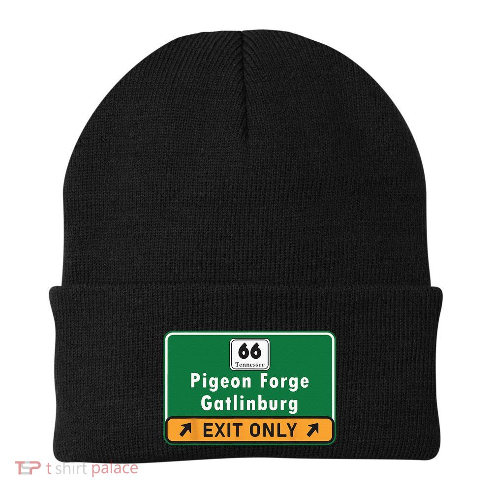 Pizza And Ducks Or Duck Beanie