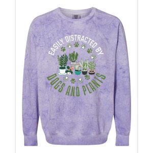 Plants And Dogs Funny Plant Lover Dog Lover Plant Colorblast Crewneck Sweatshirt