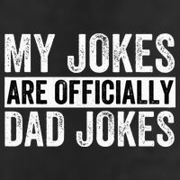 Pregnancy Announcement Dad My Jokes Are Officially Dad Jokes 7 Panel Mesh Trucker Snapback Hat