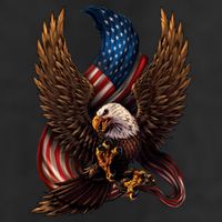 Patriotic American Design With Eagle And Flag Hat