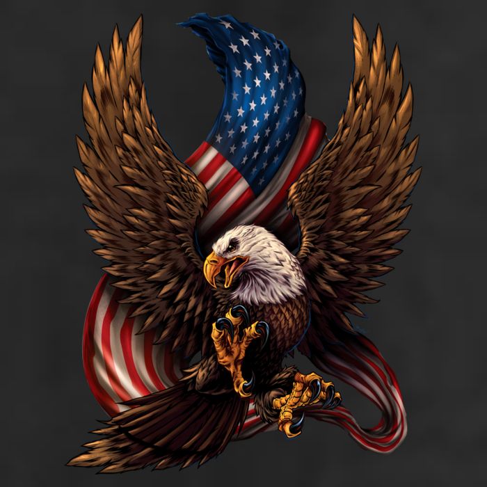 Patriotic American Design With Eagle And Flag Hat