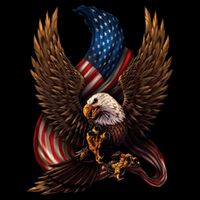 Patriotic American Design With Eagle And Flag Cropped Pullover Crew