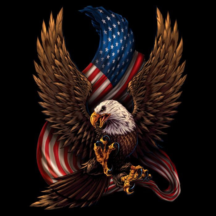 Patriotic American Design With Eagle And Flag Cropped Pullover Crew