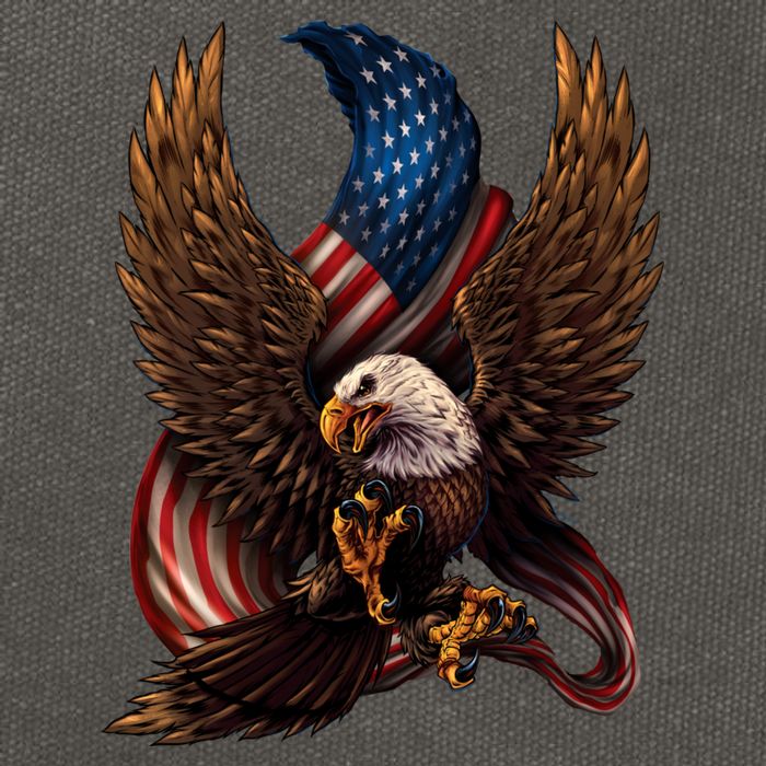Patriotic American Design With Eagle And Flag Cotton Canvas Backpack