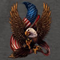 Patriotic American Design With Eagle And Flag Vector Backpack