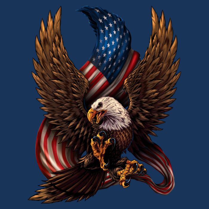 Patriotic American Design With Eagle And Flag 16 in Basic Backpack