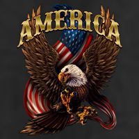 Patriotic America Design With Eagle And American Flag Adult Drive Performance Visor