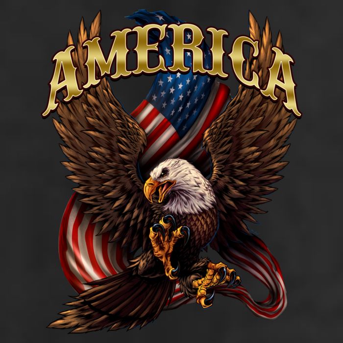 Patriotic America Design With Eagle And American Flag Adult Drive Performance Visor