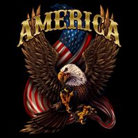 Patriotic America Design With Eagle And American Flag Drawstring Bag