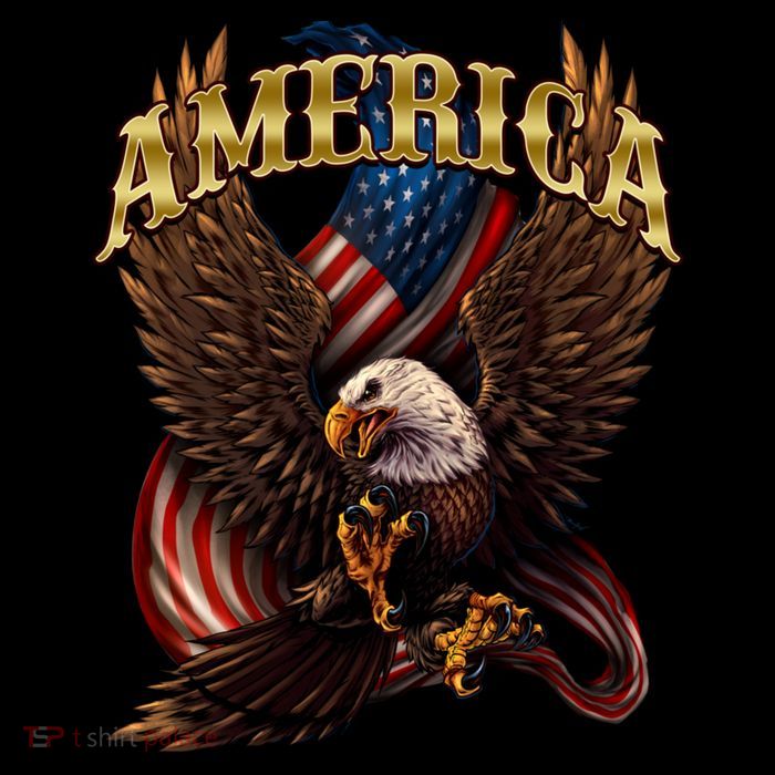 Patriotic America Design With Eagle And American Flag Cooling Performance Long Sleeve Crew