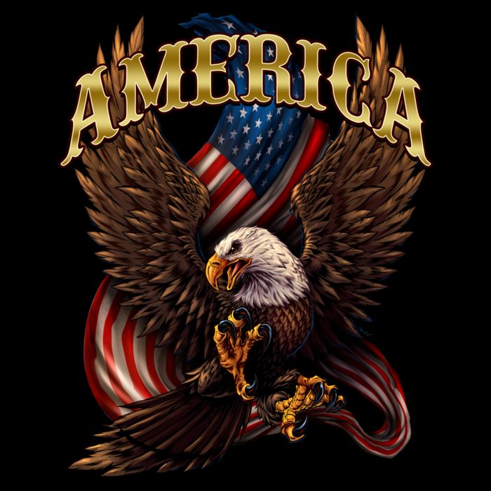 Patriotic America Design With Eagle And American Flag Cropped Pullover Crew