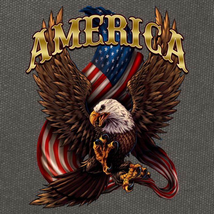 Patriotic America Design With Eagle And American Flag Cotton Canvas Backpack