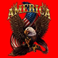 Patriotic America Design With Eagle And American Flag 16 in Basic Backpack