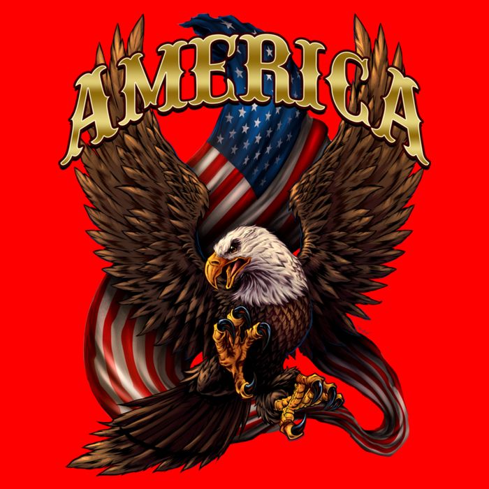Patriotic America Design With Eagle And American Flag 16 in Basic Backpack