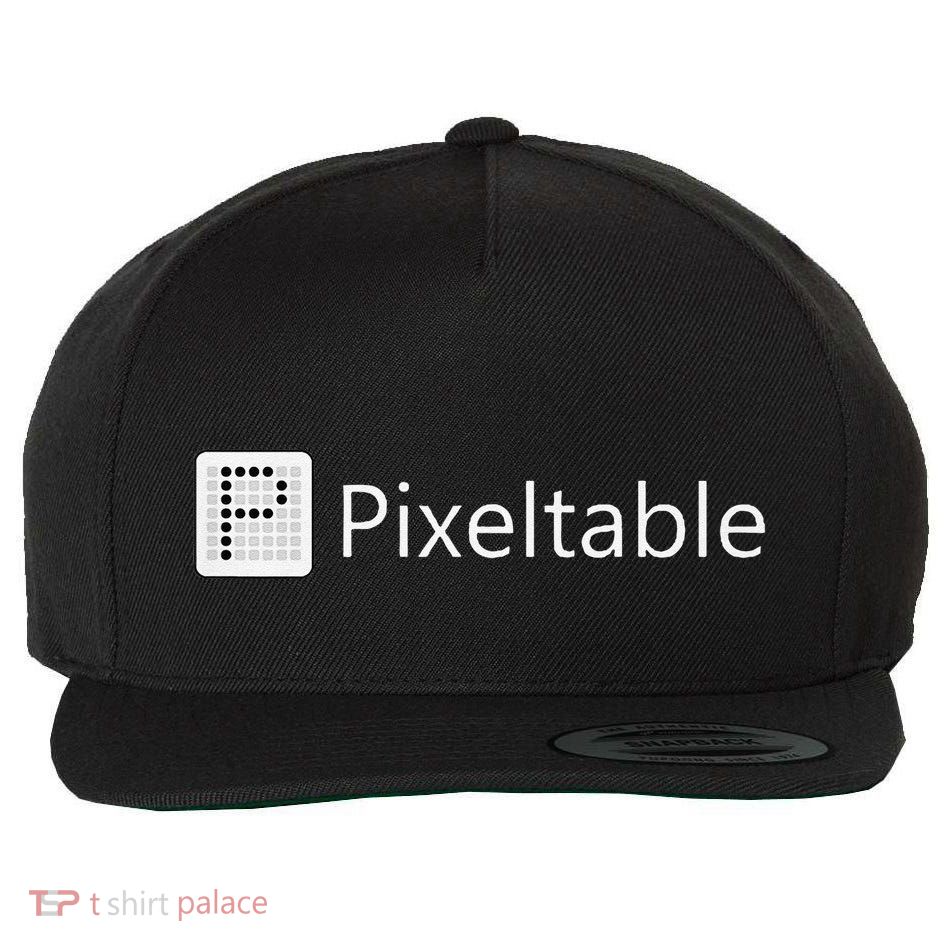 Pixeltable Ai Data Infrastructure Wool Snapback Cap