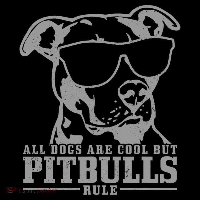 Pitbull All Dogs Are Cool Pitbulls Rule Funny Pitbull 7-Panel Snapback Hat
