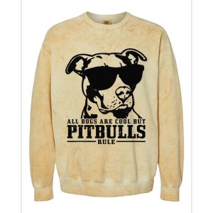 Pitbull All Dogs Are Cool Pitbulls Rule Funny Pitbull Colorblast Crewneck Sweatshirt