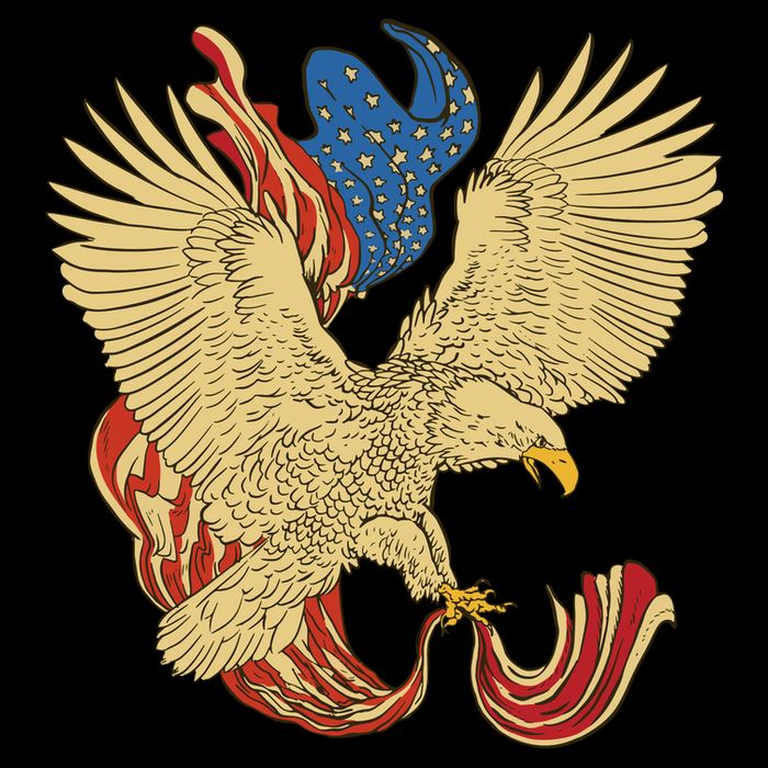 Patriotic American Eagle And United States Flag Mug