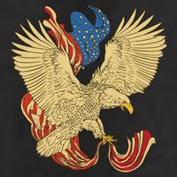 Patriotic American Eagle And United States Flag 11oz C Handle Ceramic Mug