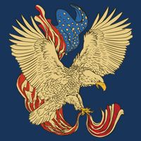 Patriotic American Eagle And United States Flag 7 Panel Mesh Trucker Snapback Hat