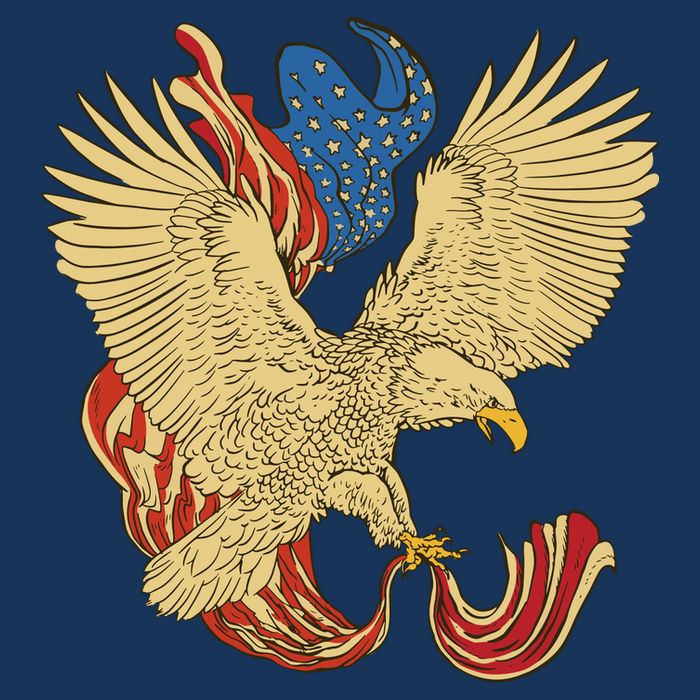 Patriotic American Eagle And United States Flag Cooling Performance Crew T-Shirt