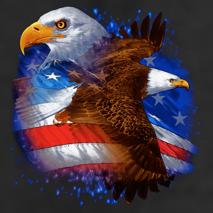 Patriotic American Eagle USA Flag 7 Panel Mesh Trucker Snapback Hat