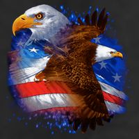 Patriotic American Eagle USA Flag 11oz C Handle Ceramic Mug
