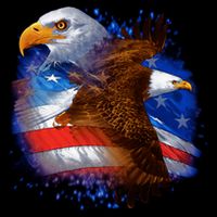 Patriotic American Eagle USA Flag Bag