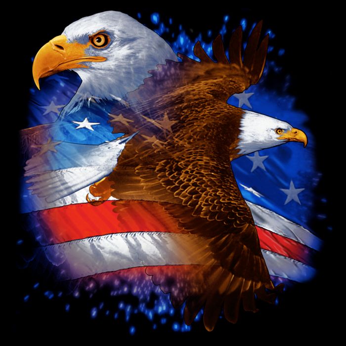 Patriotic American Eagle USA Flag Bag
