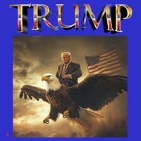 Patriotic American Eagle Election Support Trump And Kamala Gift Tall T-Shirt