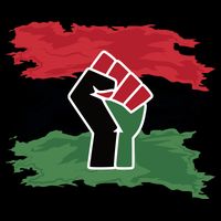 Pan African Flag Black Fist U.N.I.A. Flag City Backpack
