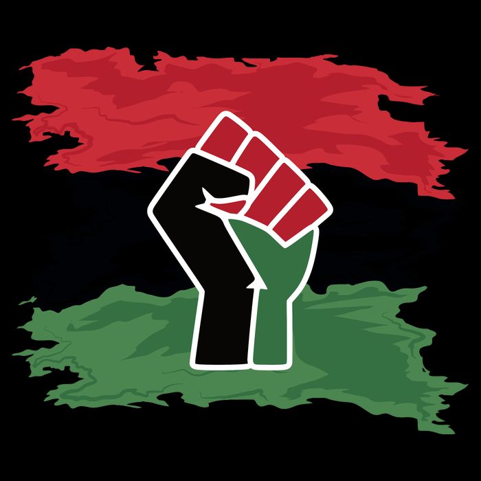 Pan African Flag Black Fist U.N.I.A. Flag City Backpack