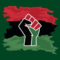 Pan African Flag Black Fist U.N.I.A. Flag Cooling Performance Crew T-Shirt