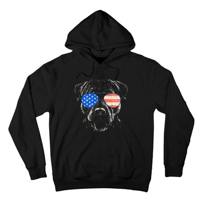 Pitbull American Flag 4th Of July Pitbull Dad Mom Dog Lover Hoodie