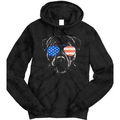 Pitbull American Flag 4th Of July Pitbull Dad Mom Dog Lover Tie Dye Hoodie