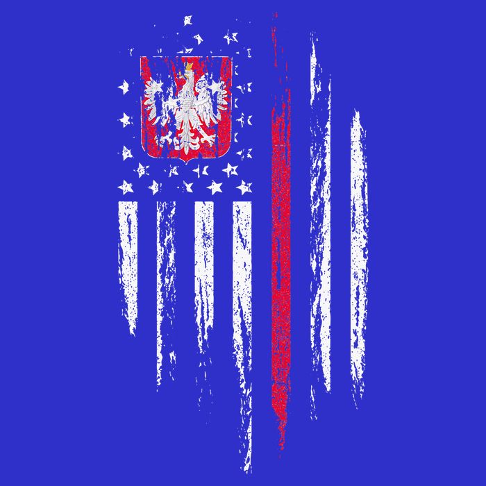 Polish American Flag Combo Poland Usa Polska Women's V-Neck T-Shirt