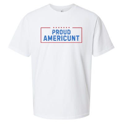 Proud Americunt Funny American 4 Of July Sueded Cloud Jersey T-Shirt